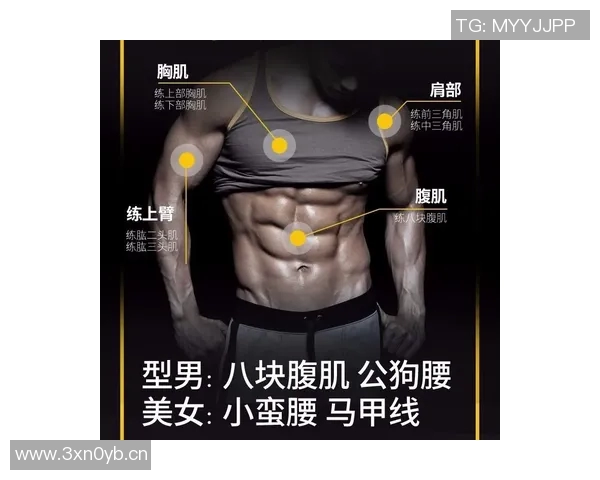 胸肌室内健身器材推荐及锻炼方案